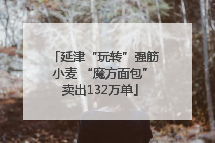 延津“玩转”强筋小麦 “魔方面包”卖出132万单