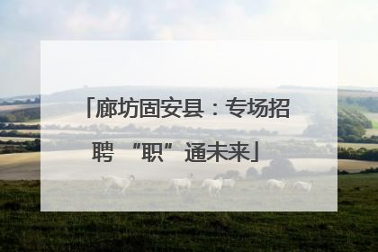 廊坊固安县：专场招聘 “职”通未来