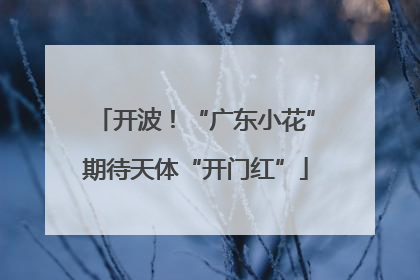 开波！“广东小花”期待天体“开门红”