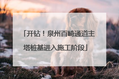 开钻！泉州百崎通道主塔桩基进入施工阶段