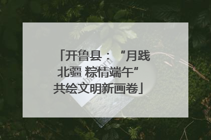 开鲁县：“月践北疆 粽情端午”共绘文明新画卷