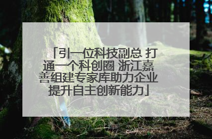 引一位科技副总 打通一个科创圈 浙江嘉善组建专家库助力企业提升自主创新能力