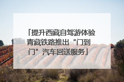 提升西藏自驾游体验 青藏铁路推出“门到门”汽车回送服务