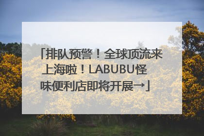 排队预警！全球顶流来上海啦！LABUBU怪味便利店即将开展→