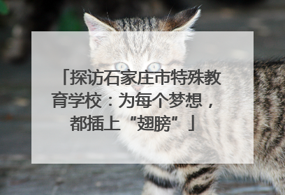 探访石家庄市特殊教育学校：为每个梦想，都插上“翅膀”