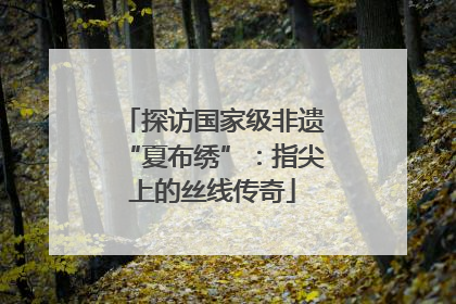 探访国家级非遗“夏布绣”：指尖上的丝线传奇