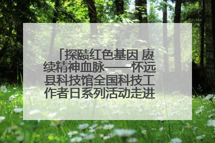 探赜红色基因 赓续精神血脉——怀远县科技馆全国科技工作者日系列活动走进怀远县实验中学