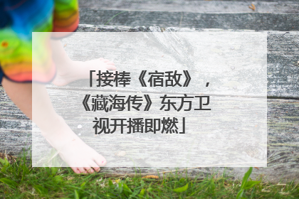接棒《宿敌》，《藏海传》东方卫视开播即燃