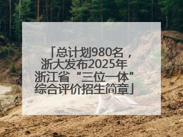 总计划980名，浙大发布2025年浙江省“三位一体”综合评价招生简章
