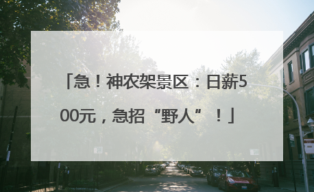 急！神农架景区：日薪500元，急招“野人”！