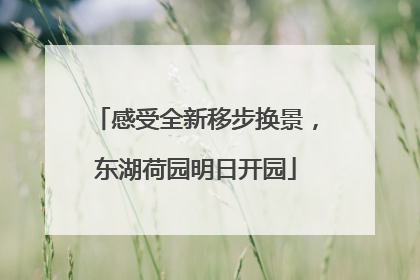 感受全新移步换景，东湖荷园明日开园