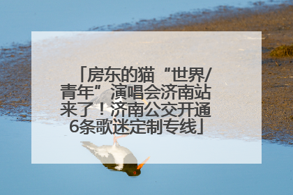 房东的猫“世界/青年”演唱会济南站来了！济南公交开通6条歌迷定制专线
