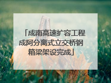 成南高速扩容工程成阿分离式立交桥钢箱梁架设完成