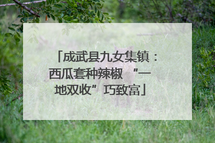 成武县九女集镇：西瓜套种辣椒 “一地双收”巧致富
