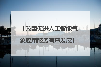 我国促进人工智能气象应用服务有序发展