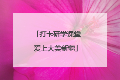 打卡研学课堂 爱上大美新疆