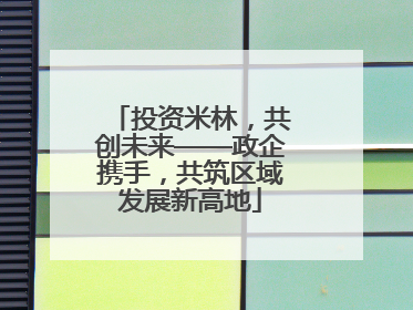 投资米林，共创未来——政企携手，共筑区域发展新高地