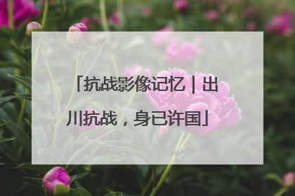 抗战影像记忆｜出川抗战，身已许国