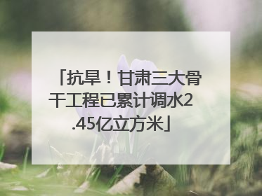 抗旱！甘肃三大骨干工程已累计调水2.45亿立方米