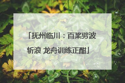 抚州临川：百桨劈波斩浪 龙舟训练正酣