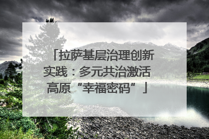 拉萨基层治理创新实践：多元共治激活高原“幸福密码”