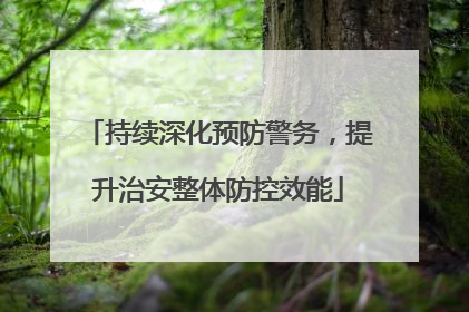 持续深化预防警务，提升治安整体防控效能
