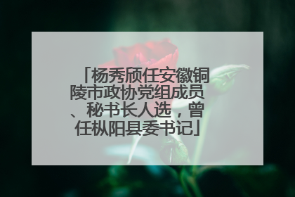 杨秀颀任安徽铜陵市政协党组成员、秘书长人选，曾任枞阳县委书记