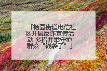 杨园街道电信社区开展反诈宣传活动 多措并举守护群众“钱袋子”