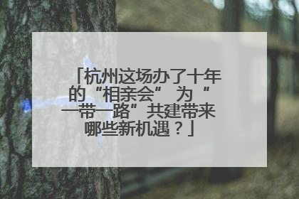 杭州这场办了十年的“相亲会” 为“一带一路”共建带来哪些新机遇？