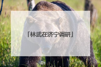 林武在济宁调研