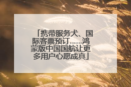 携带服务犬、国际客票预订……鸿蒙版中国国航让更多用户心愿成真