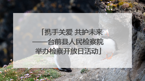 携手关爱 共护未来——台前县人民检察院举办检察开放日活动