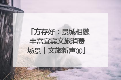 方存好：景城相融 丰富宜宾文旅消费场景丨文旅新声⑧