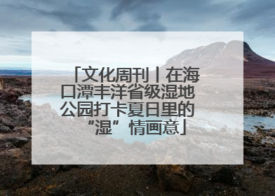 文化周刊丨在海口潭丰洋省级湿地公园打卡夏日里的“湿”情画意