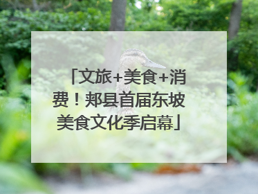 文旅+美食+消费！郏县首届东坡美食文化季启幕
