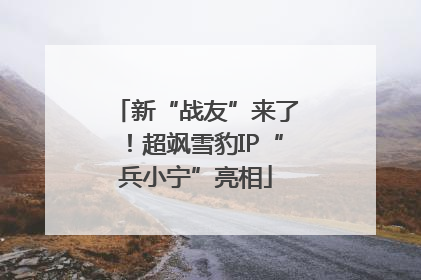 新“战友”来了！超飒雪豹IP“兵小宁”亮相