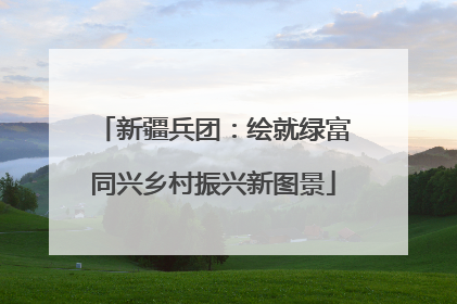 新疆兵团：绘就绿富同兴乡村振兴新图景