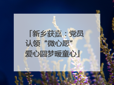 新乡获嘉：党员认领“微心愿” 爱心圆梦暖童心