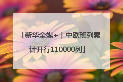 新华全媒+｜中欧班列累计开行110000列