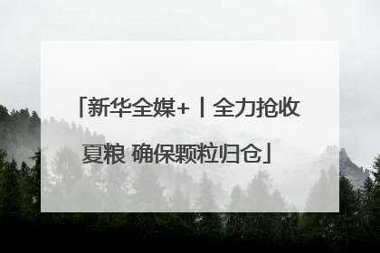 新华全媒+丨全力抢收夏粮 确保颗粒归仓