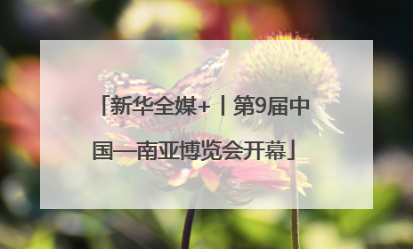 新华全媒+丨第9届中国—南亚博览会开幕