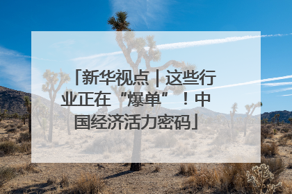 新华视点｜这些行业正在“爆单”！中国经济活力密码