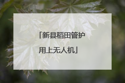 新县稻田管护用上无人机