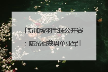 新加坡羽毛球公开赛：陆光祖获男单亚军
