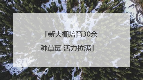 新大棚培育30余种草莓 活力拉满