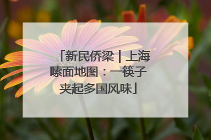 新民侨梁｜上海嗦面地图：一筷子夹起多国风味