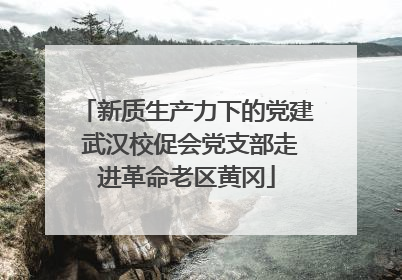 新质生产力下的党建 武汉校促会党支部走进革命老区黄冈