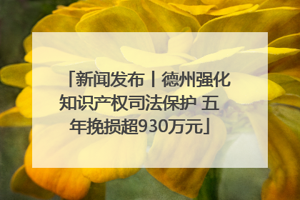 新闻发布丨德州强化知识产权司法保护 五年挽损超930万元