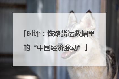 时评：铁路货运数据里的“中国经济脉动”