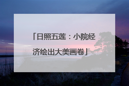 日照五莲：小院经济绘出大美画卷